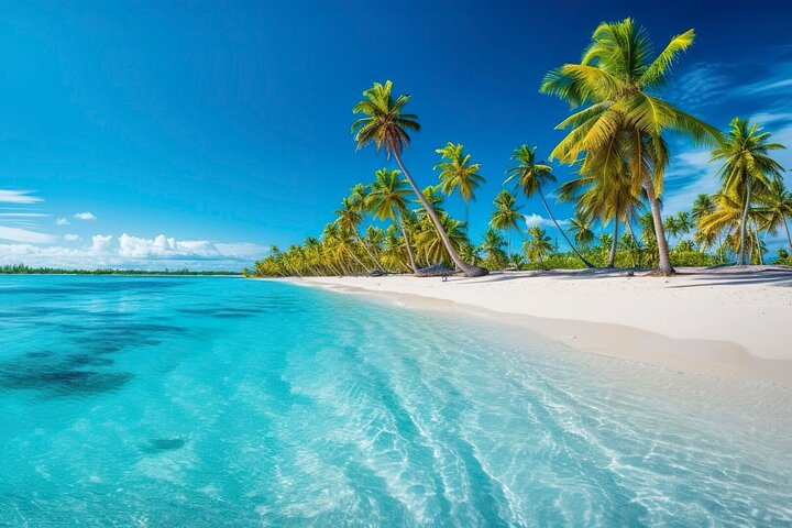 Explore Catalina Island & Snorkeling Adventure from Punta Cana - Photo 1 of 12